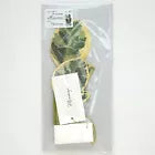 Greeting Life Birthday Blooming Card Ficus Artesima KE-51