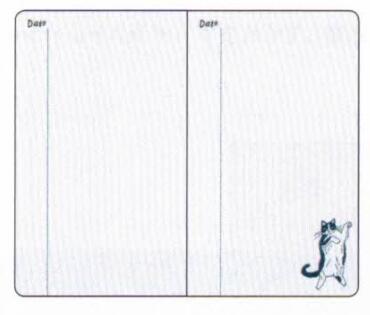 Kahoko Sodeyama Slow Journal Cat
