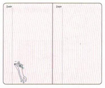 Kahoko Sodeyama Slow Journal Cat