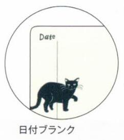 Kahoko Sodeyama Slow Journal Cat