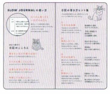 Kahoko Sodeyama Slow Journal Cat