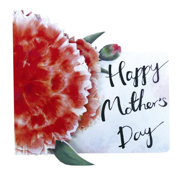 Greeting Life Mother's Day Card LY-25