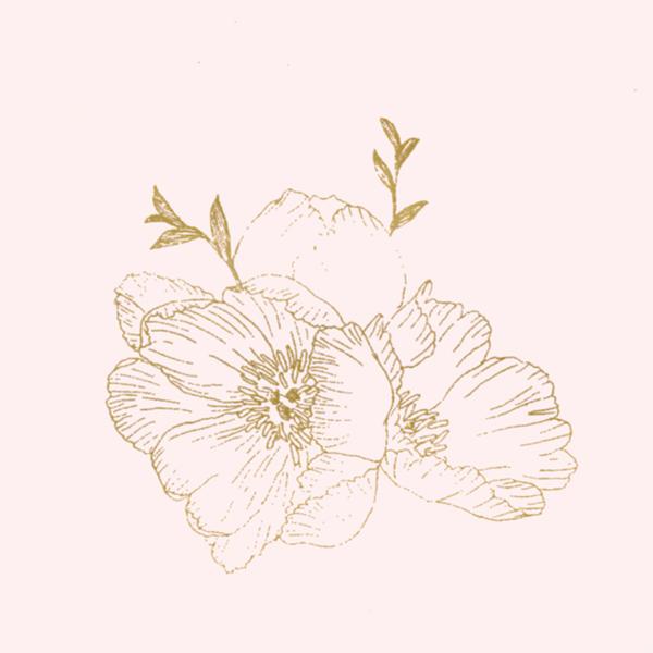 Greeting Life Maniere Paper Bag Wmp-5