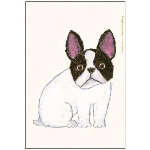 Green Flash Postcard