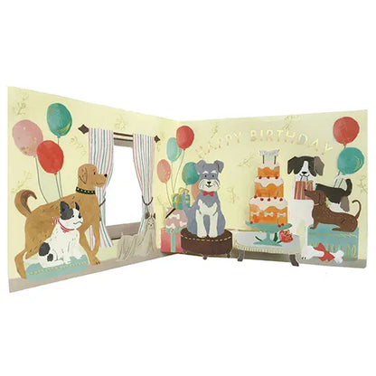 Birthday window party card