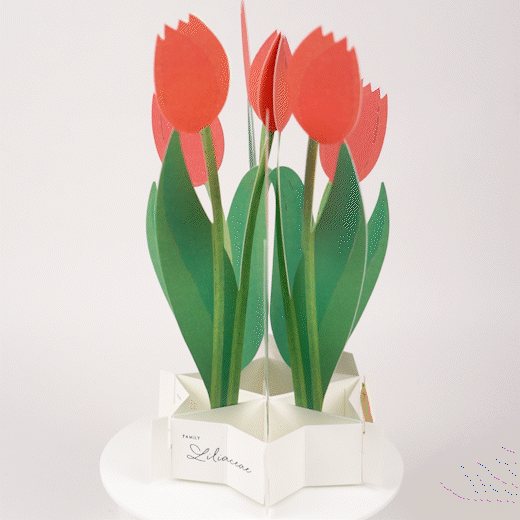 Blooming Card