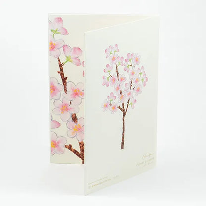 Sakura Anniversary Flower Card