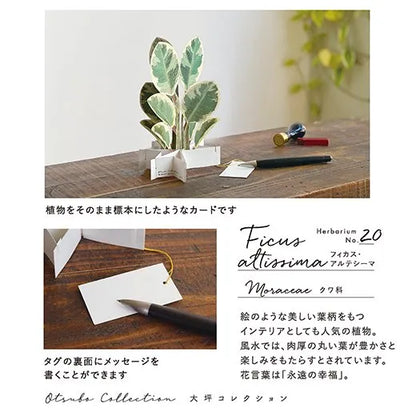 Blooming Card