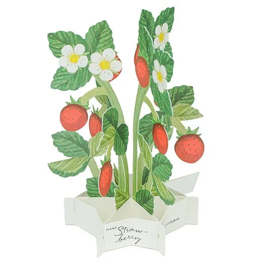 Blooming Mini Card Strawberry KE-58