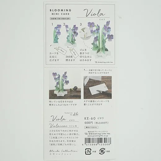 Blooming Mini Card Viola KE-60