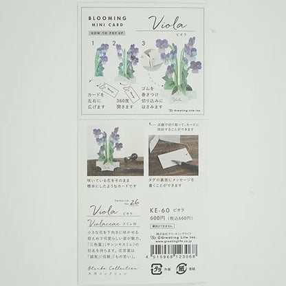 Blooming Mini Card Viola KE-60