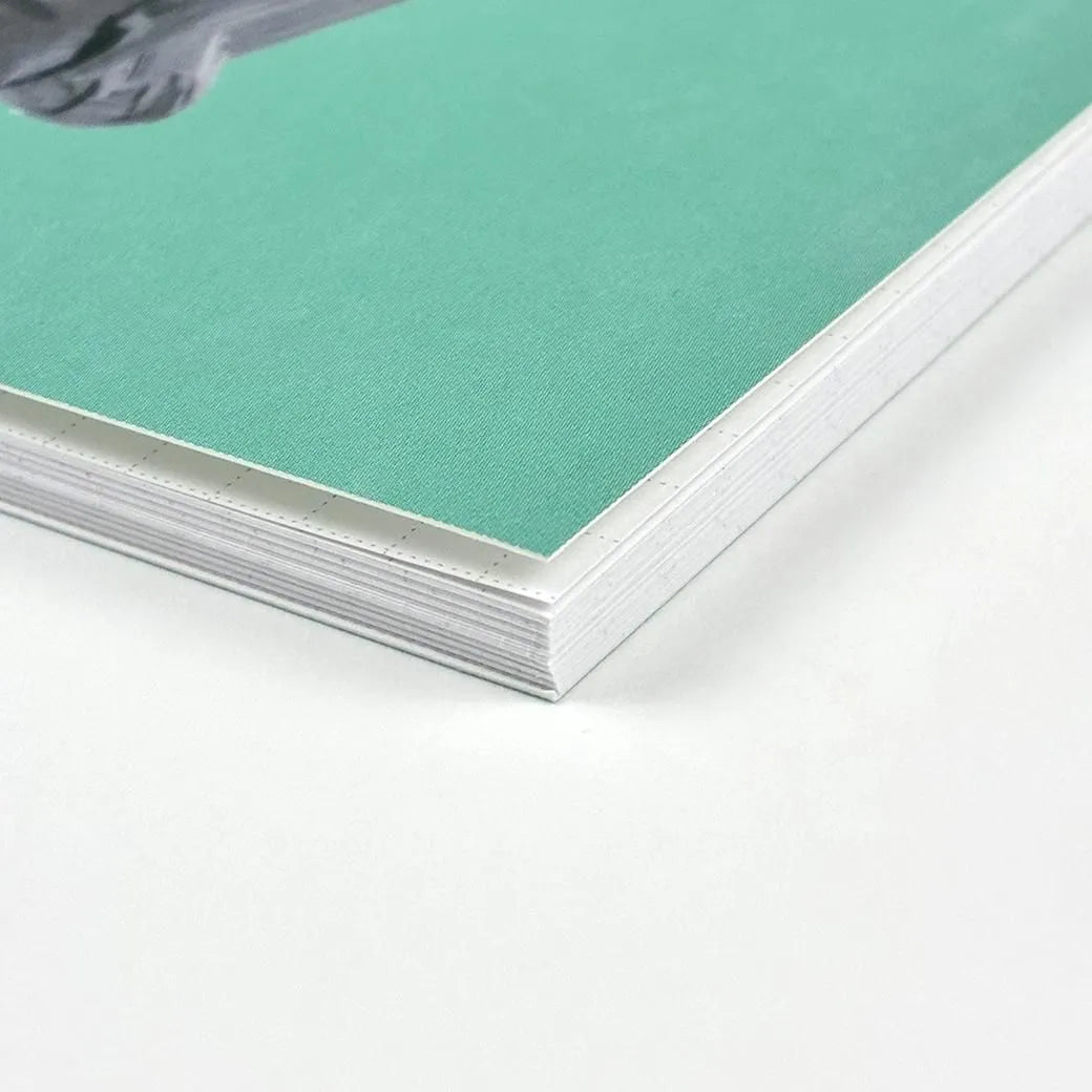 Cat and / Kahoko Sodeyama A5 Notebook Green