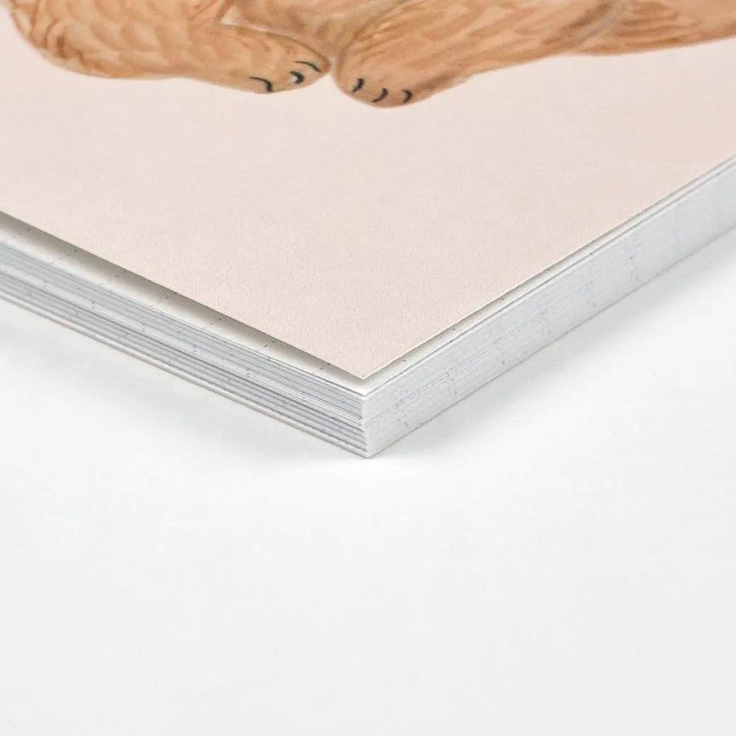 Cat and / Kahoko Sodeyama A5 Notebook Beige