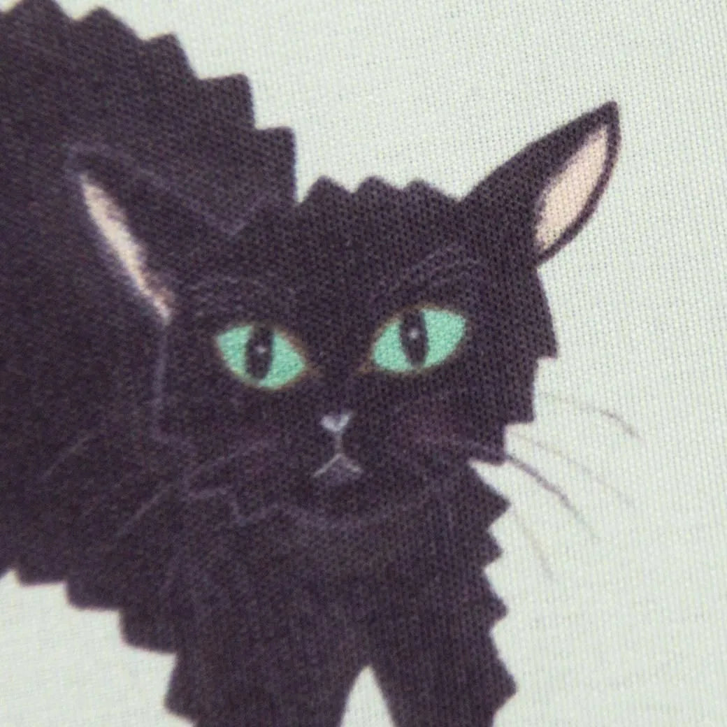 Cat and / Kahoko Sodeyama Cushion Mini Pouch