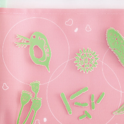 STUDY HOLIC Mesh A5 Pouch <Microbiology> ST-228