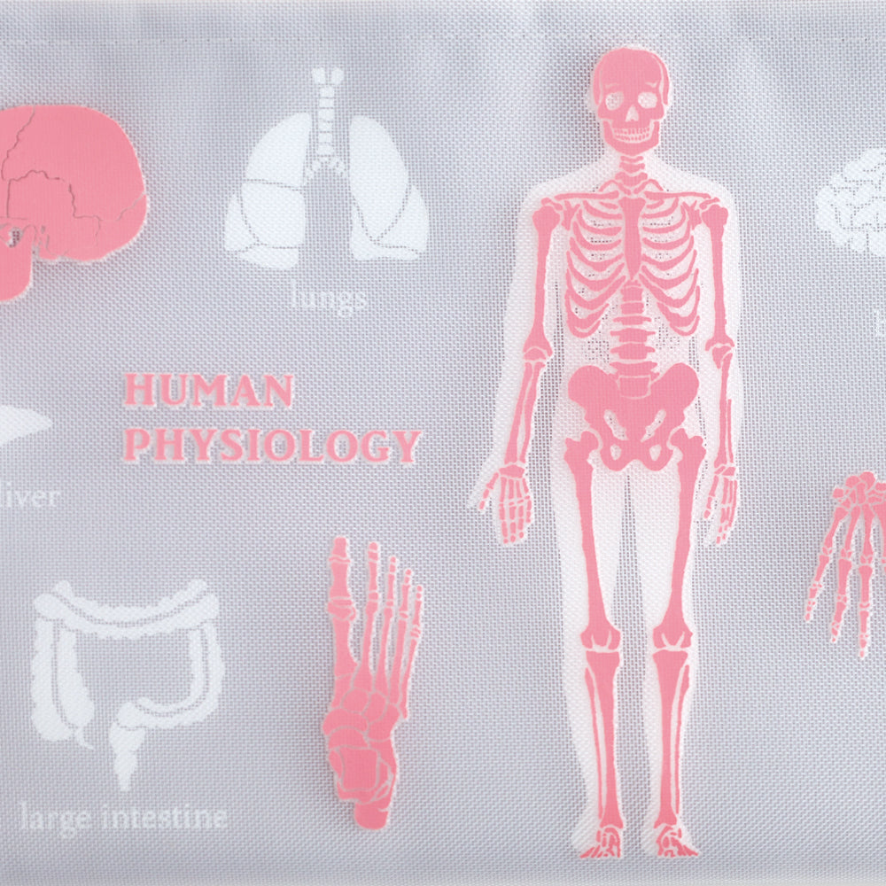 STUDY HOLIC Mesh A5 Pouch <Human Biology> ST-229