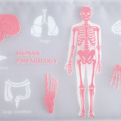 STUDY HOLIC Mesh A5 Pouch <Human Biology> ST-229