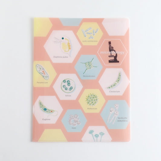 STUDY HOLIC A4 Clear Book File <Microbiology> ST-246