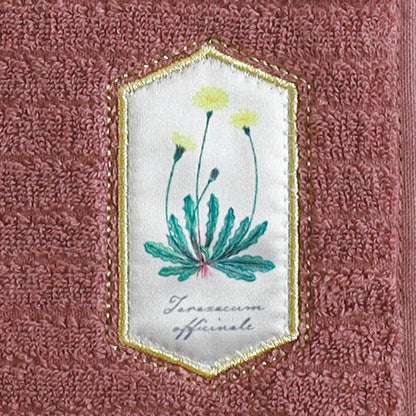 STUDY HOLIC Towel Handkerchief <Botany> ST-254