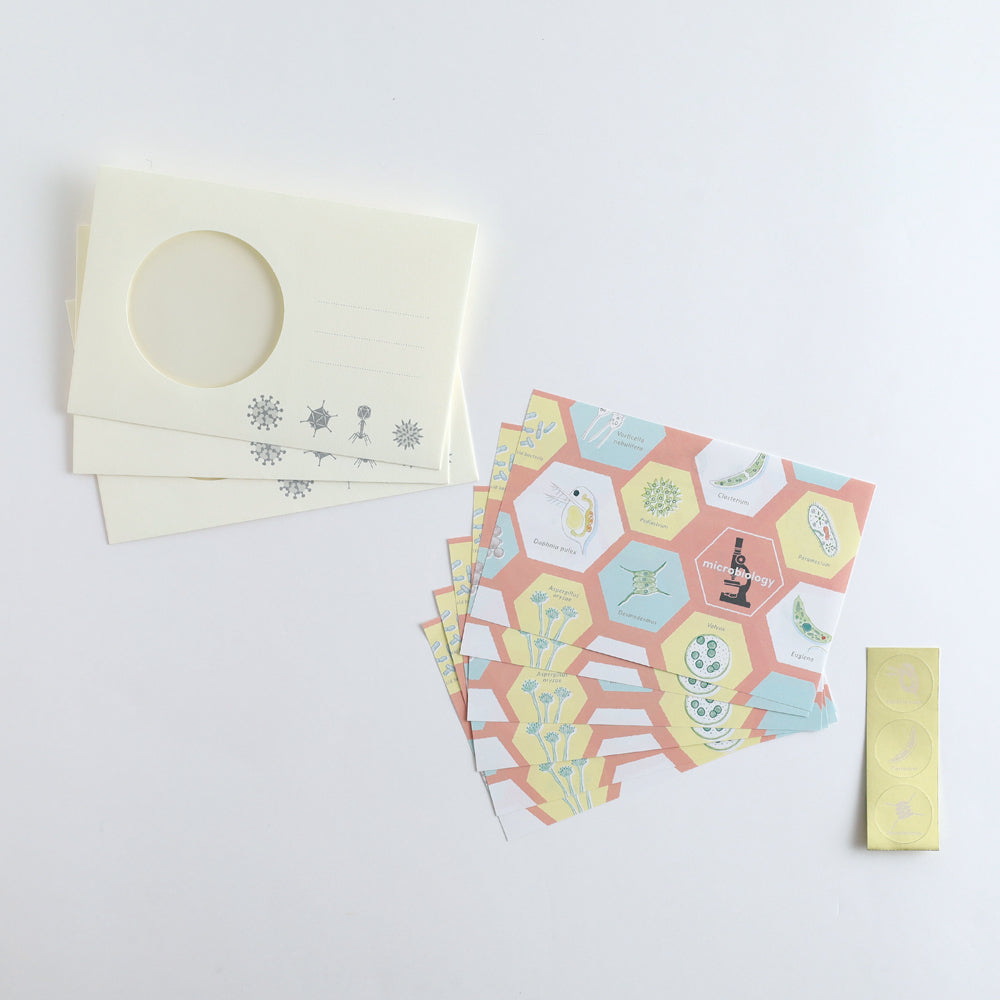 STUDY HOLIC Letter Set <Microbiology> ST-261