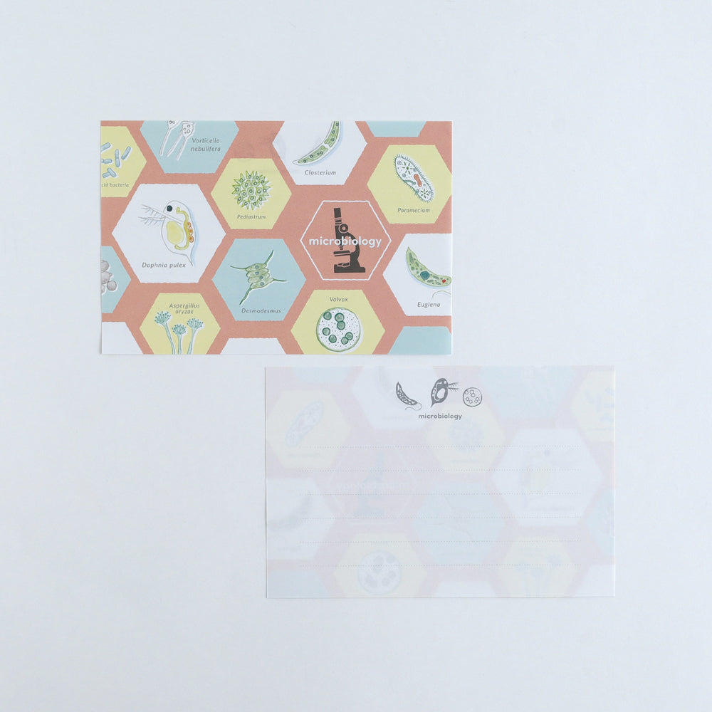 STUDY HOLIC Letter Set <Microbiology> ST-261