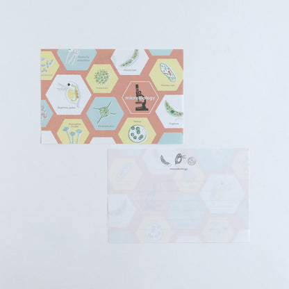 STUDY HOLIC Letter Set <Microbiology> ST-261