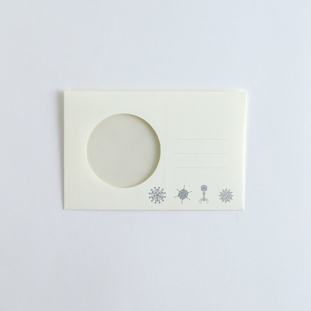 STUDY HOLIC Letter Set <Microbiology> ST-261