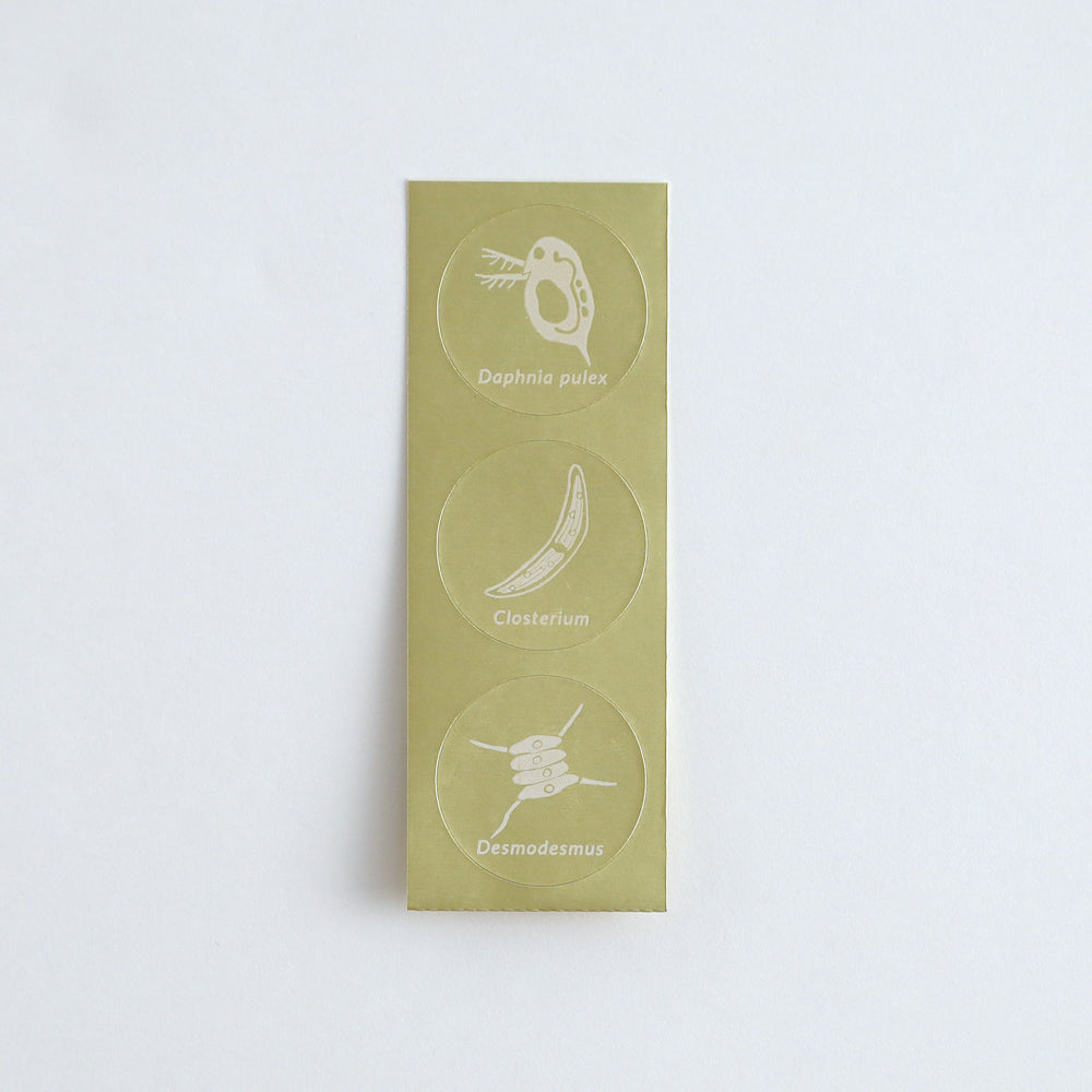 STUDY HOLIC Letter Set <Microbiology> ST-261
