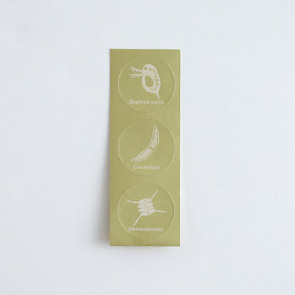 STUDY HOLIC Letter Set <Microbiology> ST-261
