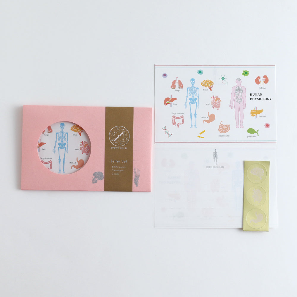 STUDY HOLIC Letter Set <Human Biology> ST-262