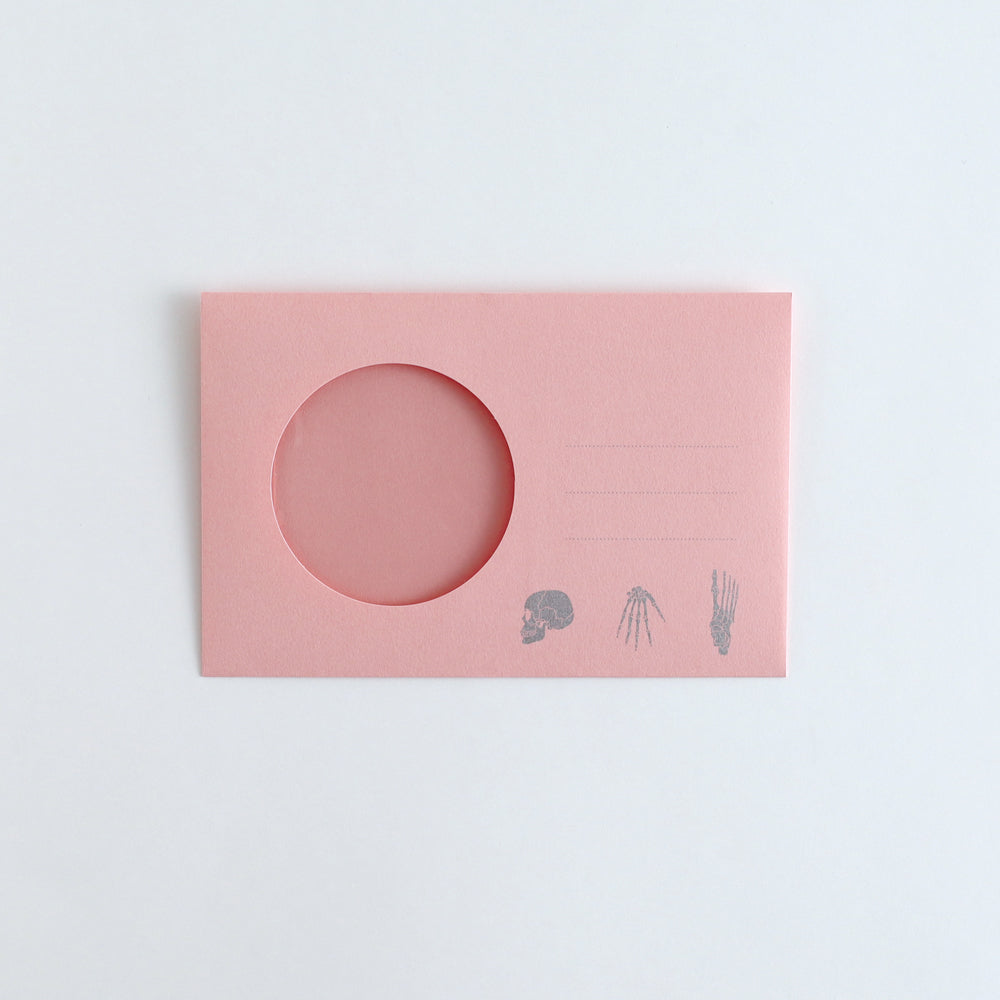 STUDY HOLIC Letter Set <Human Biology> ST-262