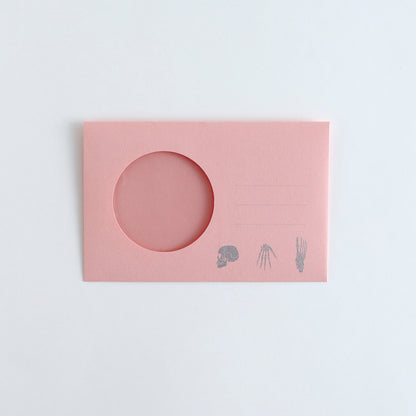 STUDY HOLIC Letter Set <Human Biology> ST-262