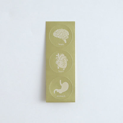 STUDY HOLIC Letter Set <Human Biology> ST-262