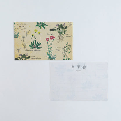 STUDY HOLIC Letter Set <Botany> ST-263