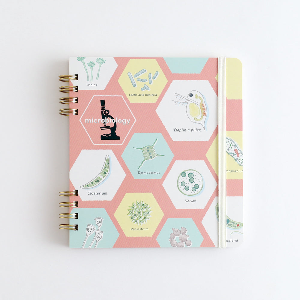STUDY HOLIC Ring Notebook Square <Microbiology> ST-270