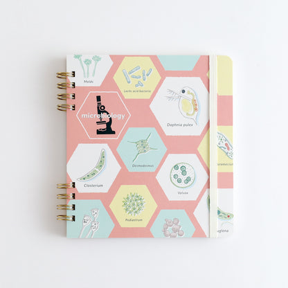 STUDY HOLIC Ring Notebook Square <Microbiology> ST-270