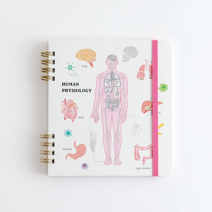 STUDY HOLIC Ring Notebook Square <Human Biology> ST-271