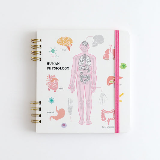 STUDY HOLIC Ring Notebook Square <Human Biology> ST-271