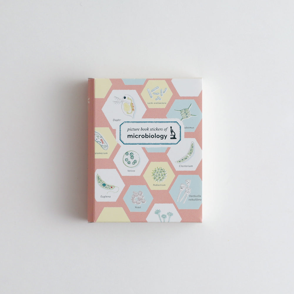 STUDY HOLIC Flake stickers with illustrated case <Microbiology> ST-279