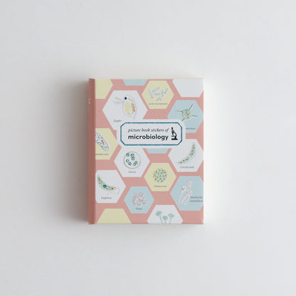 STUDY HOLIC Flake stickers with illustrated case <Microbiology> ST-279