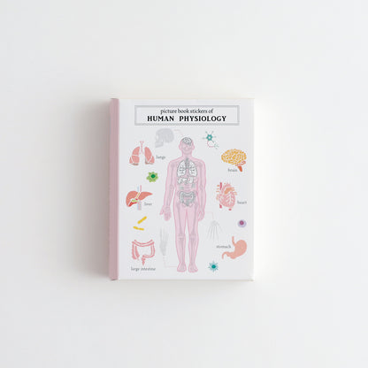 STUDY HOLIC Flake Stickers with Picture Book Case <Human Biology> ST-280
