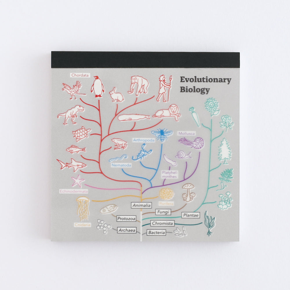 Green Flash STUDY HOLIC series Square Memo Pads