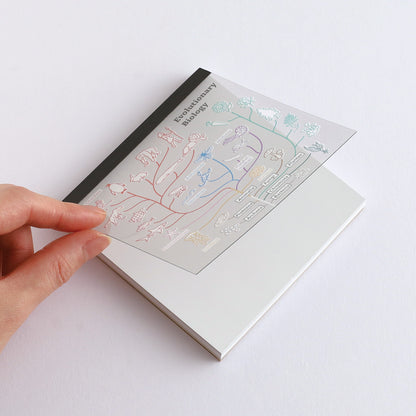 Green Flash STUDY HOLIC series Square Memo Pads