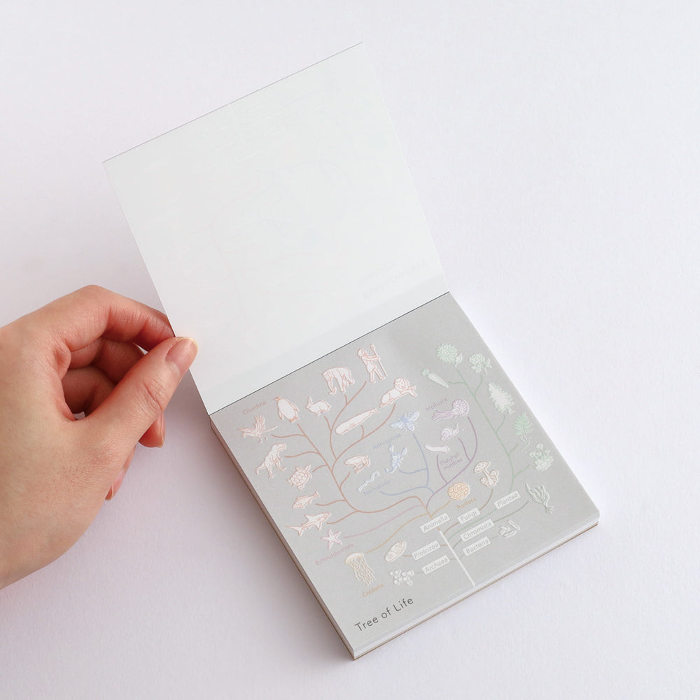 Green Flash STUDY HOLIC series Square Memo Pads