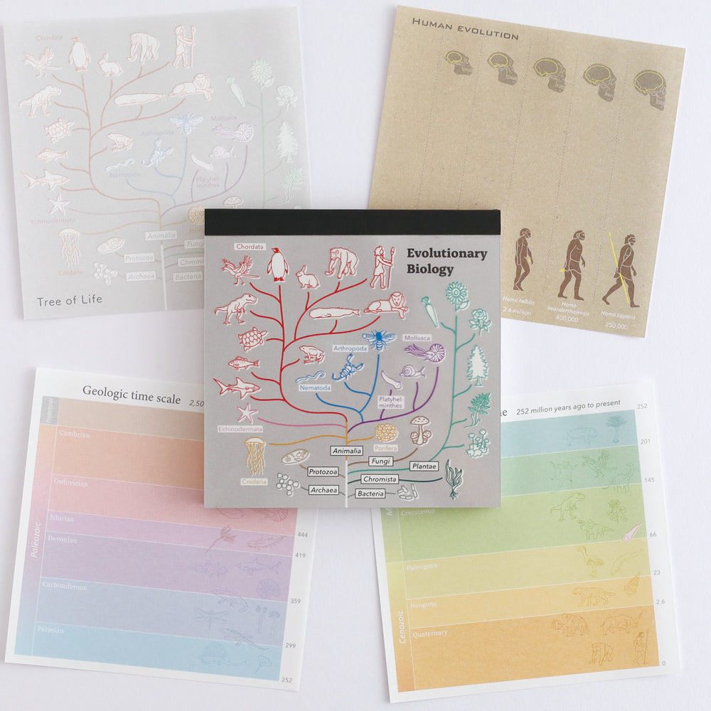 Green Flash STUDY HOLIC series Square Memo Pads