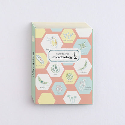 Green Flash STUDY HOLIC series Sticky Book