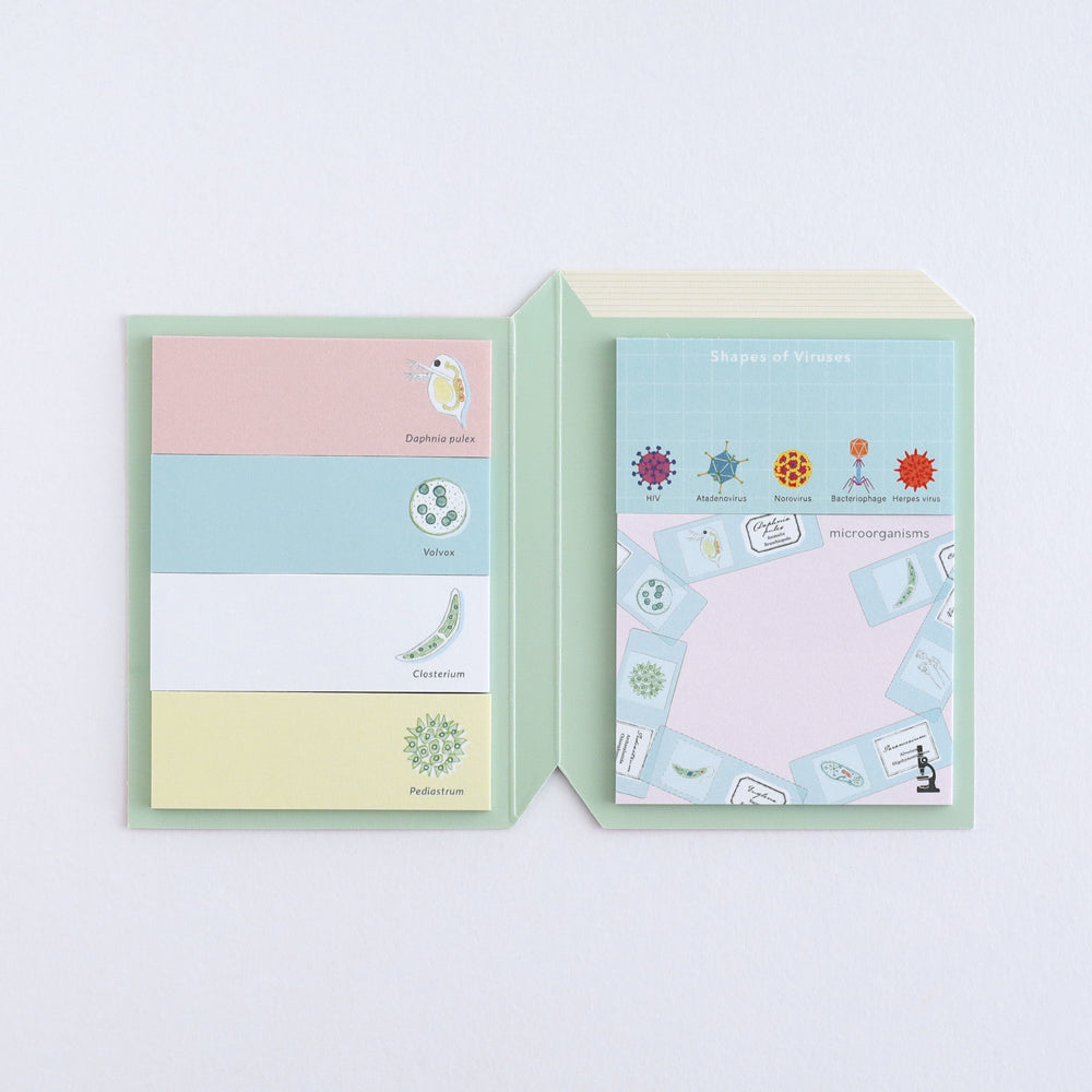Green Flash STUDY HOLIC series Sticky Book