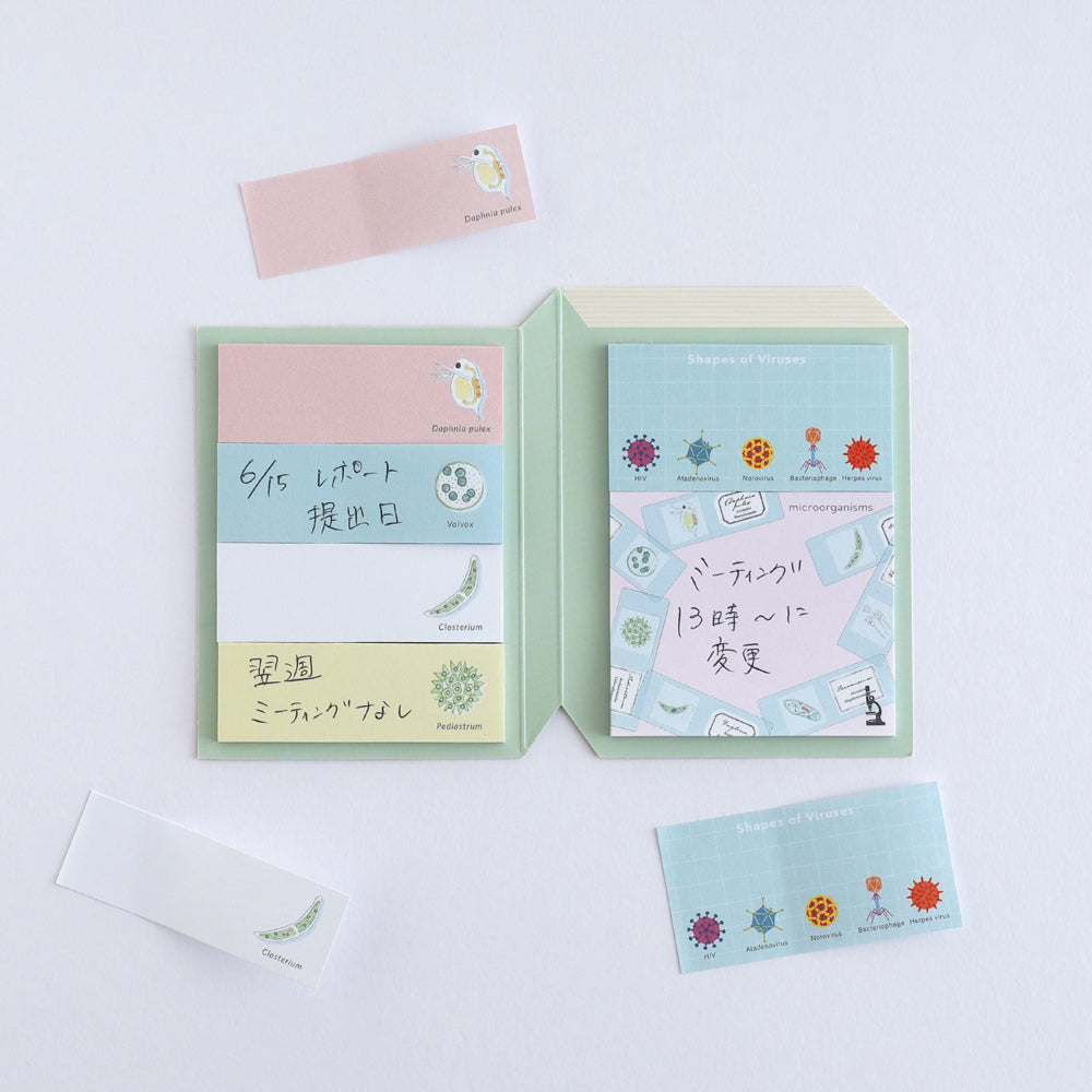Green Flash STUDY HOLIC series Sticky Book