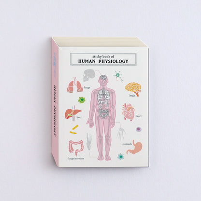 Green Flash STUDY HOLIC series Sticky Book