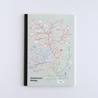 Green Flash STUDY HOLIC A5 Note Book